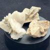 Lot of 3: 1. American “Desert Roses” Gypsum; 2. Glauberite; 3. Glauberite