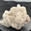 Gypsum rose