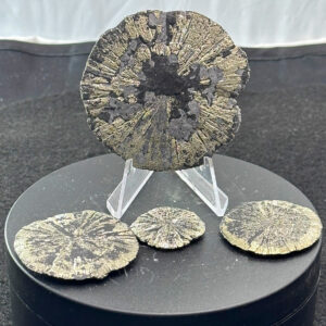 Lot of 4 pyrite suns