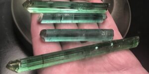 A hand holding several long green tourmaline crystals