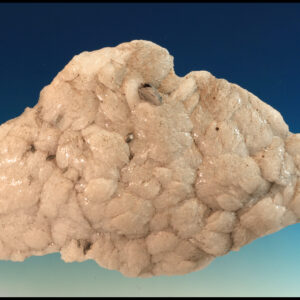 Cleavelandite