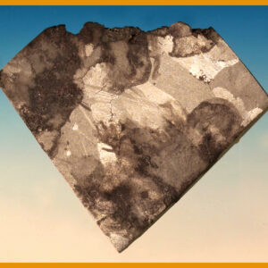Seymchan Pallasite Slice