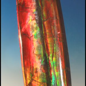 Ammolite