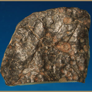 Chondrite Meteorite End Slice