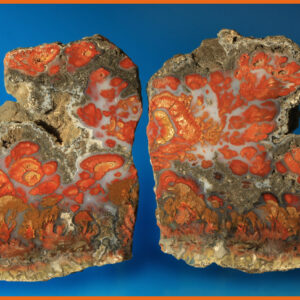 Wingate Pass "Death Valley" Plume Agate