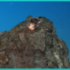 Diamond in Kimberlite (repaired)