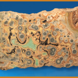 Variscite in Breccia Slice